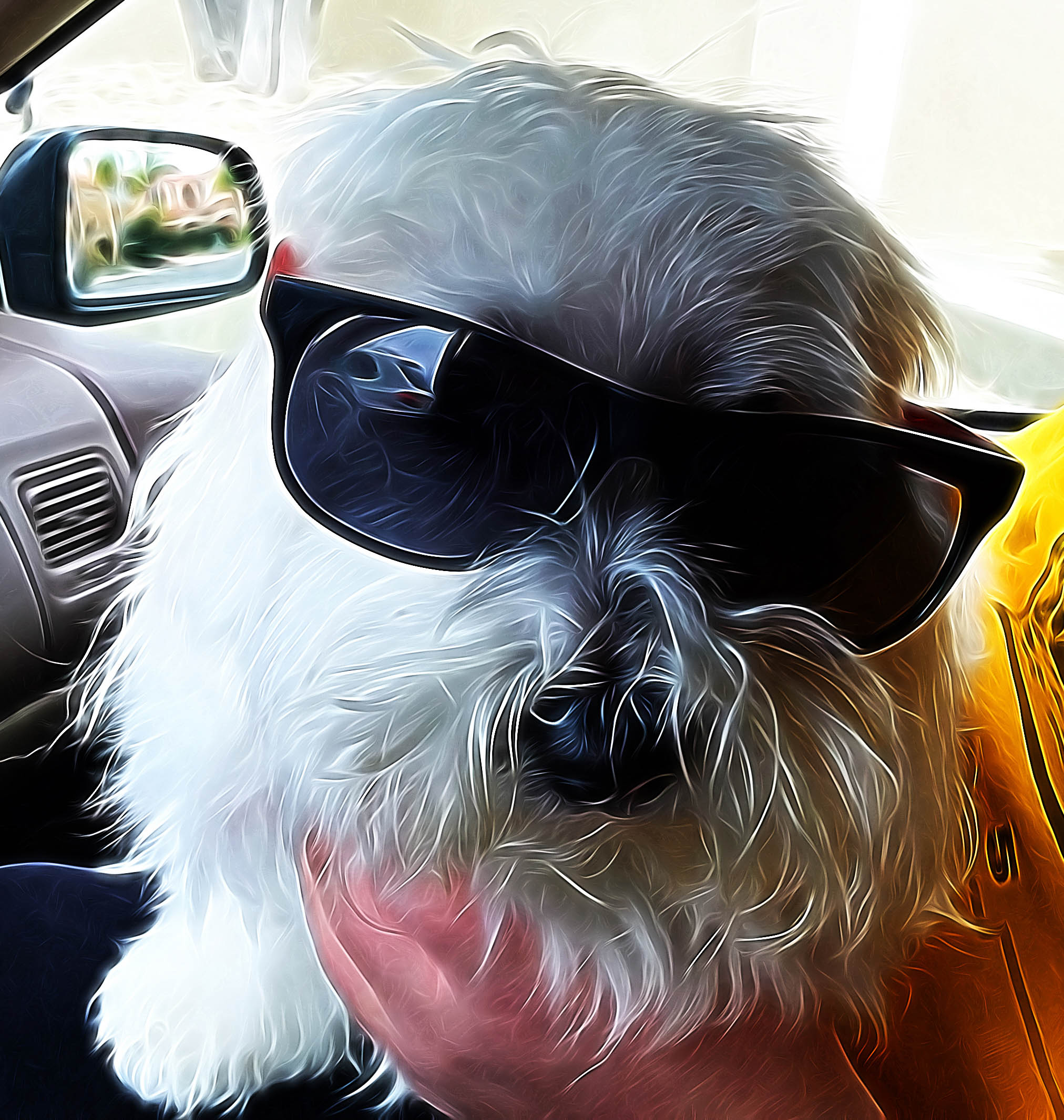 Chaz with Sun Glasses